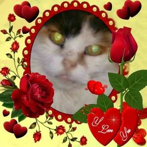 Meet your Posher, Cathy